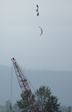 1745802050781.png 1745802050781.png