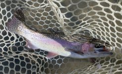 IMG_5077.jpeg