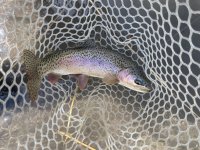 IMG_5087.jpeg