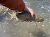 IMG_5089.jpeg