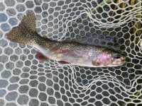 IMG_5094.jpeg