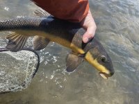 IMG_5090.jpeg
