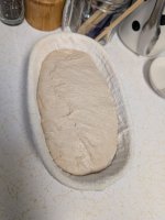PXL_20250427_161031117.jpg