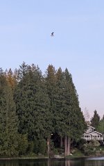PXL_20250501_030925261.jpg