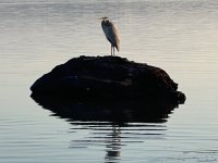 IMG_2117.jpeg