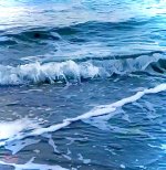 IMG_0946.jpeg