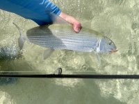 IMG_1144.jpeg