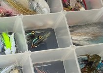 IMG_2723.jpeg