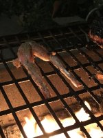 IMG_0481.jpeg