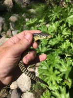 IMG_0987.jpeg