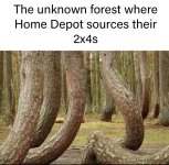 IMG_2162.jpeg