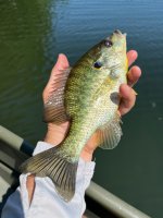 IMG_1775.jpeg