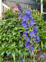 IMG_3917.jpeg IMG_3917.jpeg