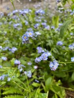 IMG_3919.jpeg IMG_3919.jpeg