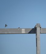 DSC00782.JPG