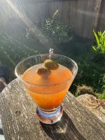 IMG_0682.jpeg