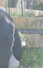IMG_0686.jpeg