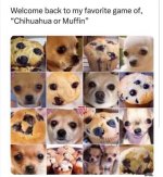 IMG_8076.jpeg
