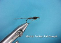 Merkin Turkey Tail Nymph.jpg