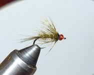 PXL_20250506_201102759.jpg