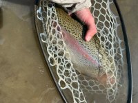 IMG_2048.jpeg