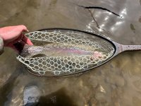 IMG_2054.jpeg