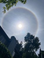 IMG_3932.jpeg