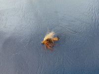 IMG_0128.jpeg