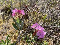 IMG_8797.jpeg