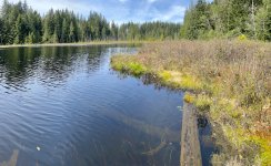 IMG_8809.jpeg
