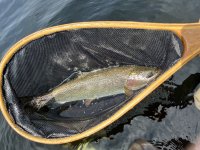 IMG_9088.jpeg