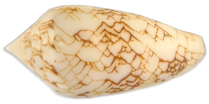 20250501_124818.png