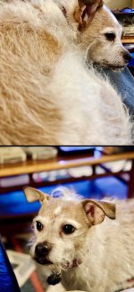 IMG_1963.jpeg