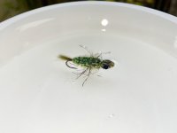 IMG_8838.jpeg