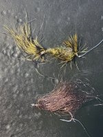 A03aStreamers9566.jpg A03aStreamers9566.jpg