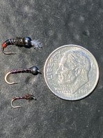 A03bChironomids9574.jpg A03bChironomids9574.jpg