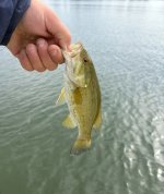 IMG_0762.jpeg IMG_0762.jpeg