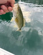 IMG_0761.jpeg IMG_0761.jpeg