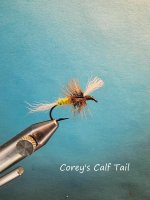coreys calf tail.jpg