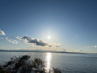 IMG_2286.jpeg