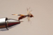 IMG_0725.jpeg