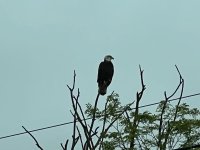 IMG_2357.jpeg