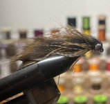 IMG_1566.jpeg