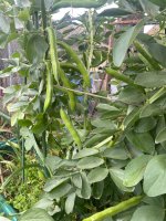 IMG_7319.jpeg IMG_7319.jpeg