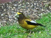 IMG_8907.jpeg