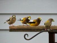 IMG_8875.jpeg