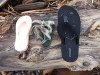 IMG_2386.jpeg
