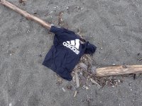 IMG_2370.jpeg