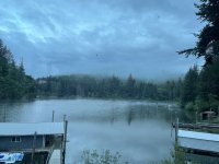 IMG_4593.jpeg