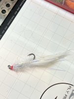 IMG_6276.jpeg